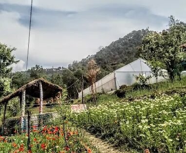 The Chakras Valley Homestay